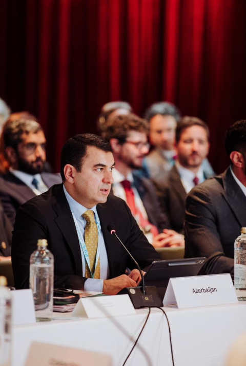 Nazir Adil Kərimli beynəlxalq tədbirdə çıxış edib - FOTOLAR